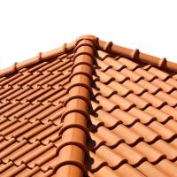 Blue Chip Roofing image 1