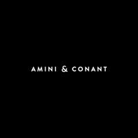 Amini & Conant, LLP image 5