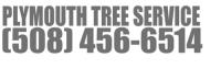 Plymouth Tree Service image 4