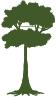 Ventura Tree Service Pros image 6
