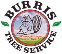 Burris Tree Service image 3