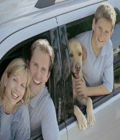 Real Auto Insurance image 2