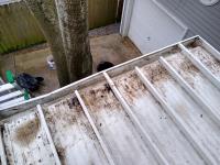 Clean Pro Gutter Cleaning Alexandria image 4
