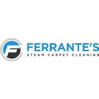 Ferrante's Steam Carpet Cleaning image 1
