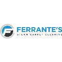 Ferrante's Steam Carpet Cleaning logo