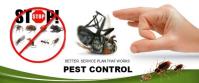 Dinajpur Pest Control image 3