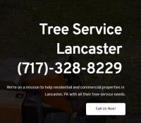 Tree Service Lancaster PA image 2