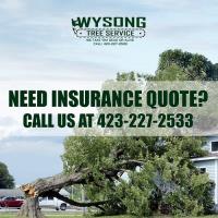 Wysong Tree Service image 3