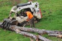 Wysong Tree Service image 5