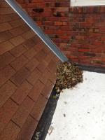 Clean Pro Gutter Cleaning Louisville image 1