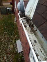 Clean Pro Gutter Cleaning Louisville image 2