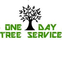 One Day Tree Service image 1