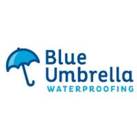 Blue Umbrella Waterproofing image 1
