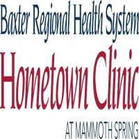 Hometown Clinic at Mammoth Spring image 1