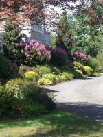 Leigh Sorensen Landscape & Garden image 2