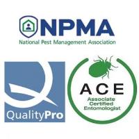 Edge Pest Control and Mosquito Service image 3