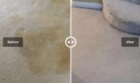RenuKey Carpet Cleaning image 4