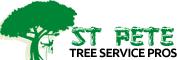 St Pete Tree Service Pros image 1
