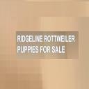 Ridgeline Rottweiler logo