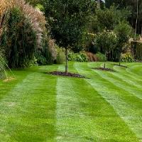 A5 Landscaping and Tree Services image 1