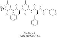 Carfilzomib image 1