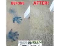 Fresh & Green Carpet Cleaning image 3