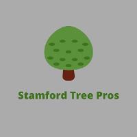 Stamford Tree Pros image 4