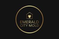 Emerald City Mold Services image 1