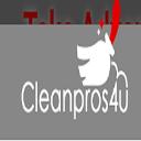 Cleaning Pros logo