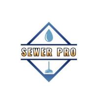 Sewer Pro image 1