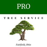 Pro Tree Service image 1