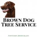 Brown Dog Tree Service Pawtucket logo