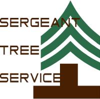 Sergeant Tree Service image 2