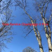 Tree Service Champaign Il Pros image 1