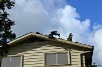Milledgeville Roofing Company image 9