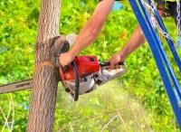 Pittsburgh Tree Service Pros image 5