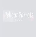 Pelican parrots logo