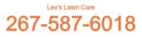 Lev's Lawn Care image 1