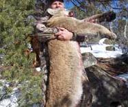 Discounted Hunts and Vouchers image 54