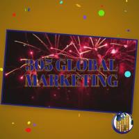 305 Global Marketing Corp. image 4