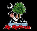 Mr. Mattress logo
