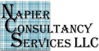 Napier Consulting Services image 1