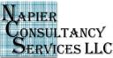Napier Consulting Services logo