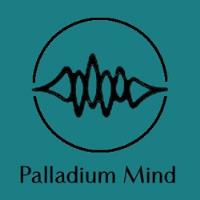 Palladium Mind Inc. image 1