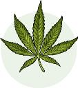 420medical Qualities logo