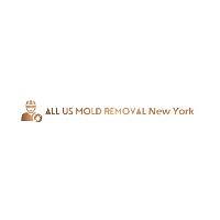 Closet Off Mold Removal NYC image 1