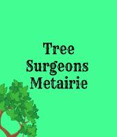 Tree Surgeons of Metairie image 2