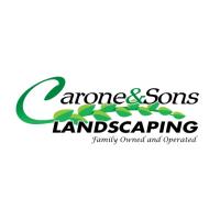 Carone and Sons Landscaping image 1