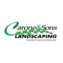 Carone and Sons Landscaping logo