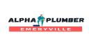 Alpha Emeryville Plumber logo